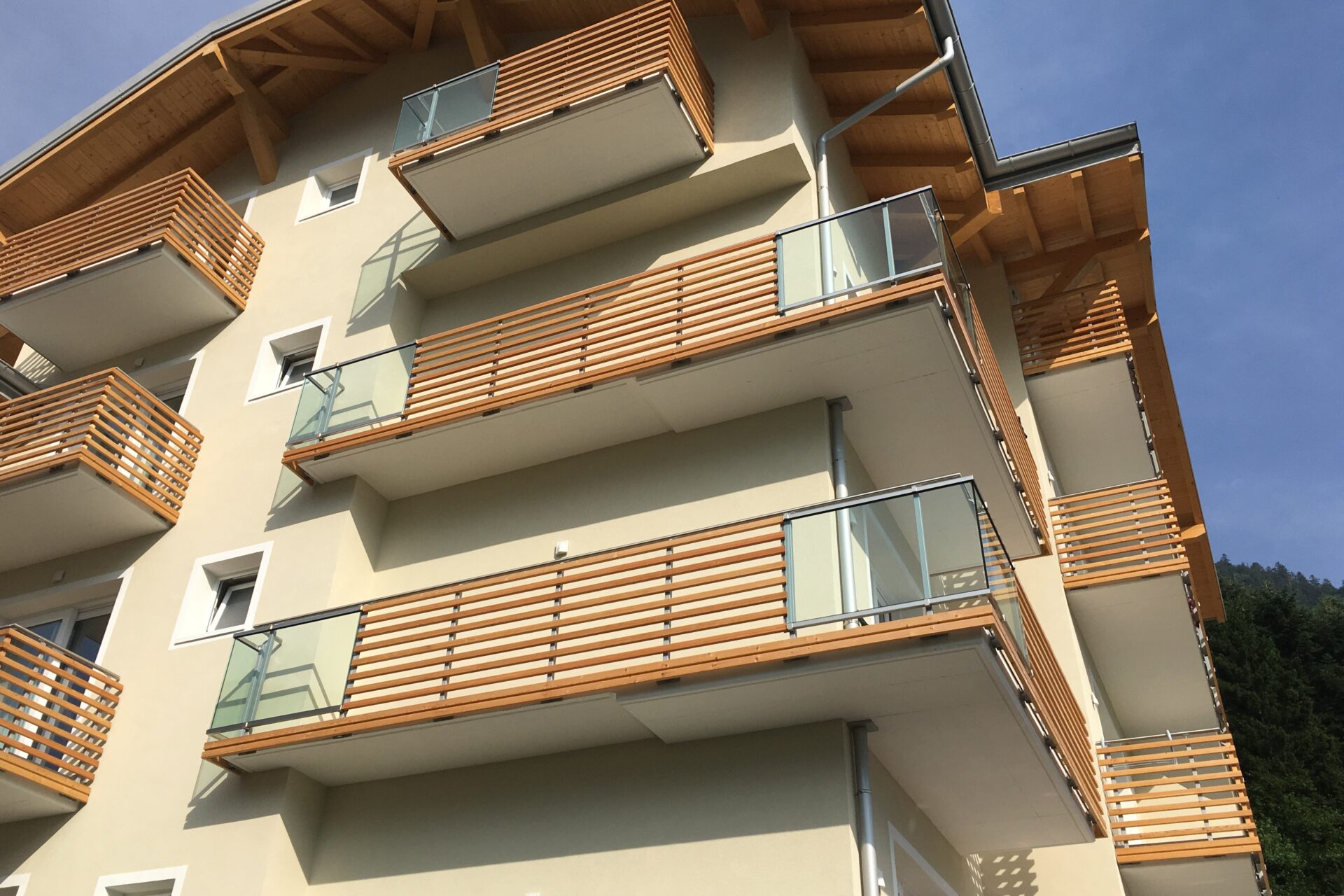 Immagine per Parapetti in legno e vetro a Molveno